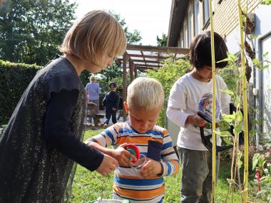 Tre børn er igang med at plante i potterne